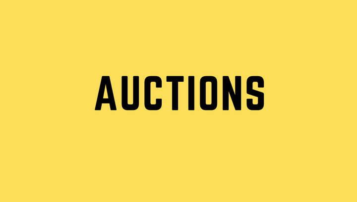 Ignore this if you want to lose at auctions
